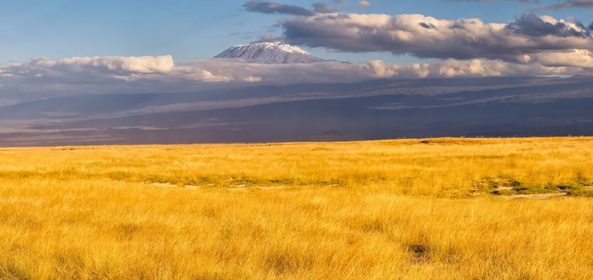 The glaciated summit plateau of Kibo on Mount Kilimanjaro, its ice cliffs catching low sun above a sea of cloud.